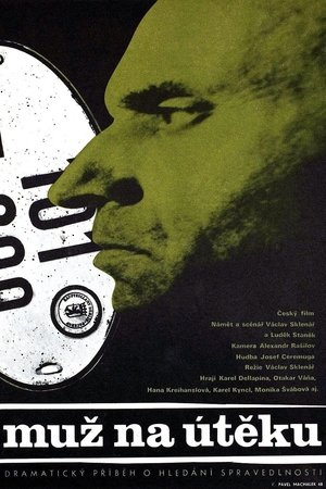 A Man on the Run A Man on the Run