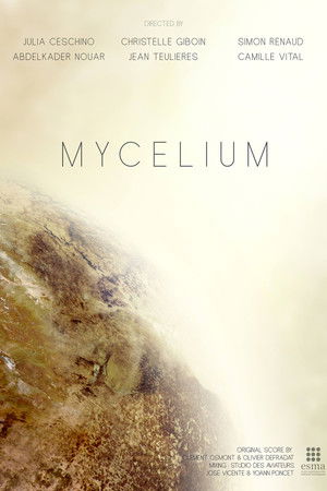 Mycelium Mycelium