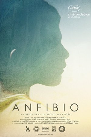 Anfibio Anfibio