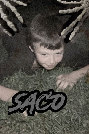 Saco