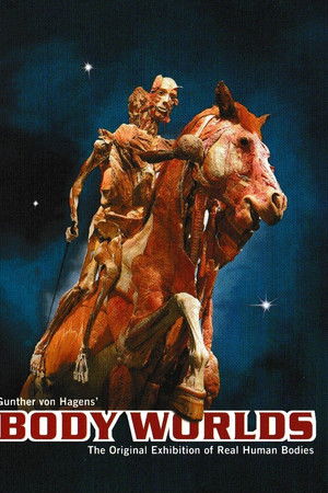Body Worlds Body Worlds