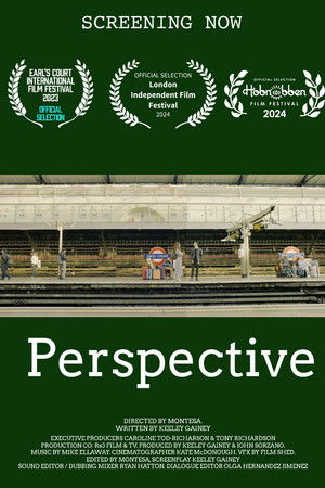 Perspective Perspective