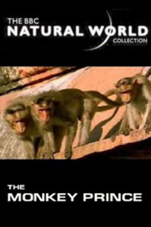 The Monkey Prince The Monkey Prince