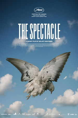 The Spectacle