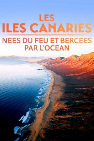 Les Îles Canaries, nées du feu et bercées par l'océan Les Îles Canaries, nées du feu et bercées par l'océan