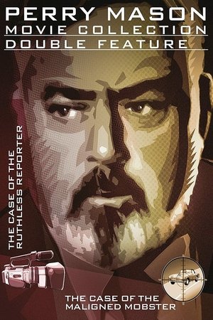 Perry Mason: The Case of the Maligned Mobster Perry Mason: The Case of the Maligned Mobster