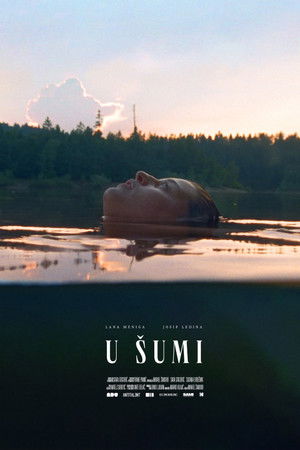 In the Woods In the Woods