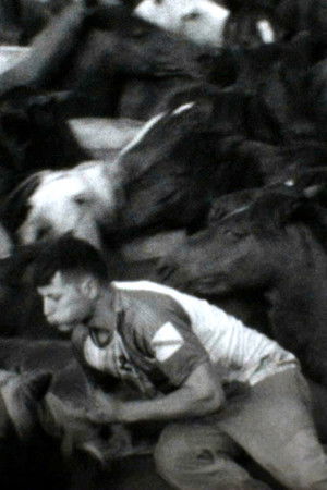 Wild Mane Crop Wild Mane Crop