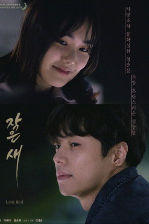 Little Bird Little Bird