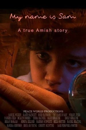 My Name Is Sam My Name Is Sam