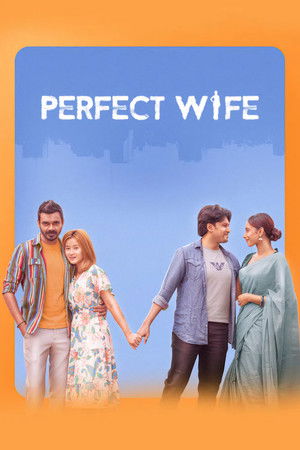 Perfect Wife Perfect Wife