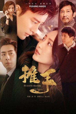 Pushing Hands Pushing Hands