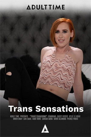 Trans Sensations Trans Sensations