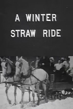 A Winter Straw Ride A Winter Straw Ride