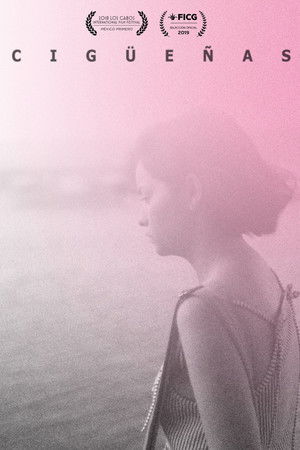 Cigüeñas Cigüeñas