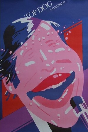 Top Dog Top Dog