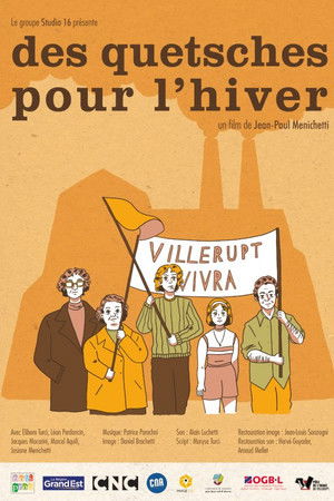 Des quetsches pour l'hiver