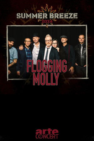 Flogging Molly - Summer Breeze 2024 Flogging Molly - Summer Breeze 2024