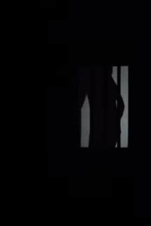 The Allegory of The Bla Bla Bla (Video Edition) The Allegory of The Bla Bla Bla (Video Edition)