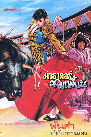 The Extraordinary Matador The Extraordinary Matador