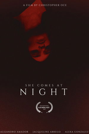 SHE COMES AT NIGHT