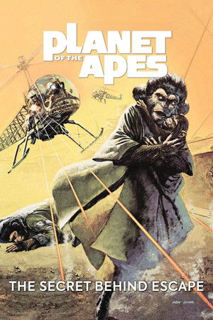 The Secret Behind Escape The Secret Behind Escape