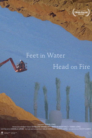 Feet in Water, Head on Fire Feet in Water, Head on Fire