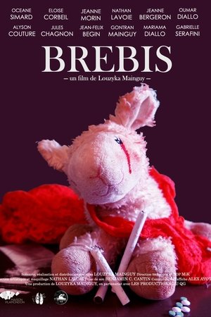 Brebis
