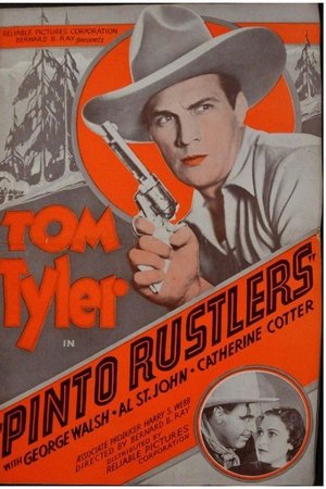 Pinto Rustlers Pinto Rustlers
