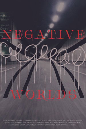 Negative Worlds Negative Worlds