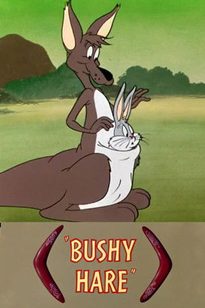 Bushy Hare Bushy Hare