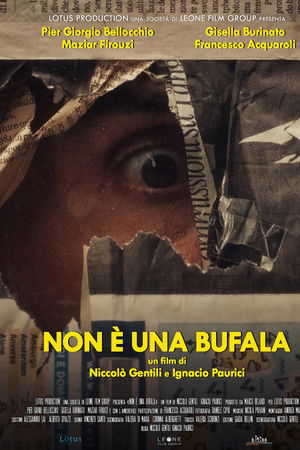 Non è una bufala Non è una bufala
