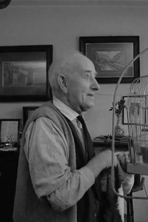 I Think They Call Him John I Think They Call Him John