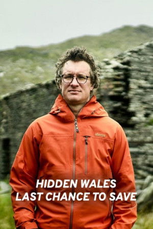 Hidden Wales: Last Chance to Save Hidden Wales: Last Chance to Save
