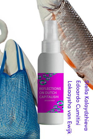 Reflections on Dutch Capitalism; Zero Sugar version Reflections on Dutch Capitalism; Zero Sugar version