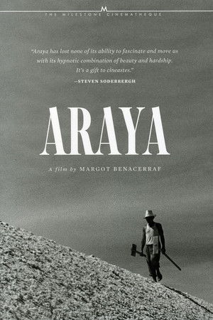 Araya Araya