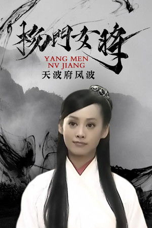 杨门女将之天波府风波