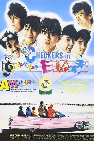 Checkers in Tan Tan tanuki Checkers in Tan Tan tanuki