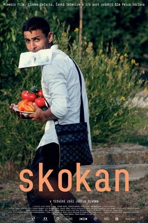 Skokan Skokan