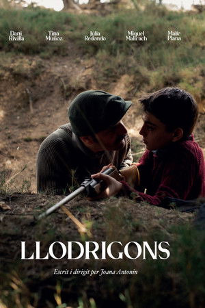 Llodrigons