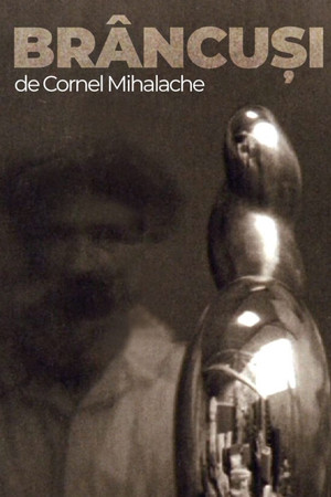Brâncuși Brâncuși