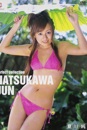 夏川純 Perfect collection