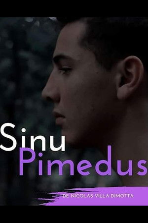Sinu Pimedus Sinu Pimedus