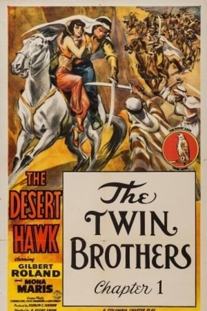 The Desert Hawk
