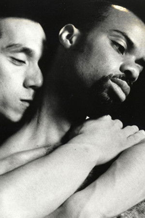 Thick Lips Thin Lips Thick Lips Thin Lips