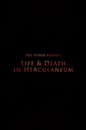 The Other Pompeii: Life & Death in Herculaneum