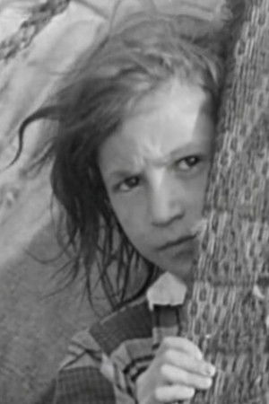 They Come Across the Borders They Come Across the Borders