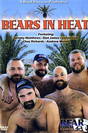 Bears In Heat Bears In Heat