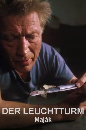 Der Leuchtturm Der Leuchtturm