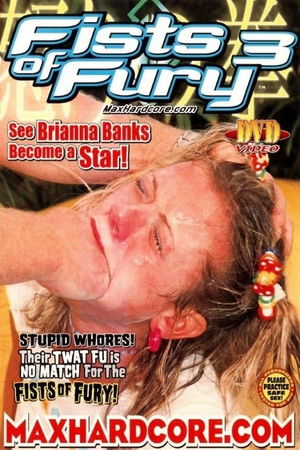 Fists of Fury 3 Fists of Fury 3